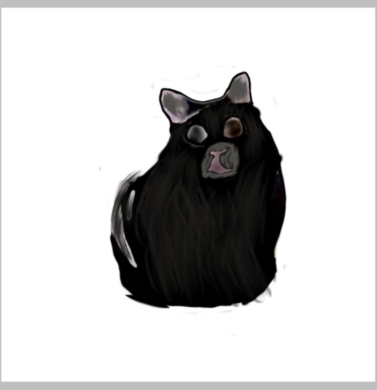 Create meme: cat , black cat , my cat