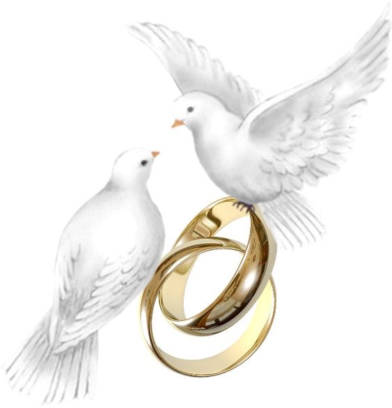 Создать мем: свадебные голуби рисунок, голуби с кольцами, свадебные голуби с кольцами