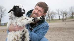 Create meme: animals, the Chechens, Ramzan Kadyrov