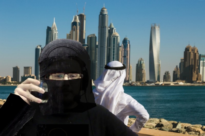 Create meme: Dubai, arab emirates abu dhabi, The Persian Gulf of Abu Dhabi