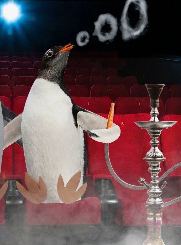 Create meme: penguin , The penguin smokes, The Penguin show