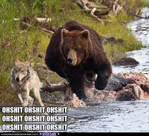 Создать мем: animal, медведь бежит, мем медведь