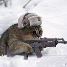 Создать мем: котенок с автоматом, кот снайпер, котик с автоматом