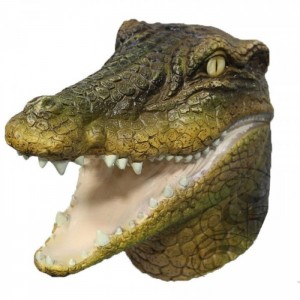 Create meme: crocodile alligator