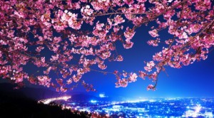 Создать мем: japanese, japan city, цветущая вишня