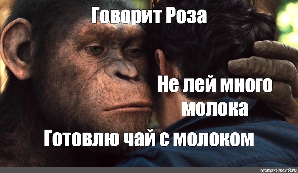 Просчитался но где мем обезьяна. Планета обезьян мемы. Восстание обезьян Мем. Мемы с обезьянами. Мем с обезьяной из планеты обезьян.