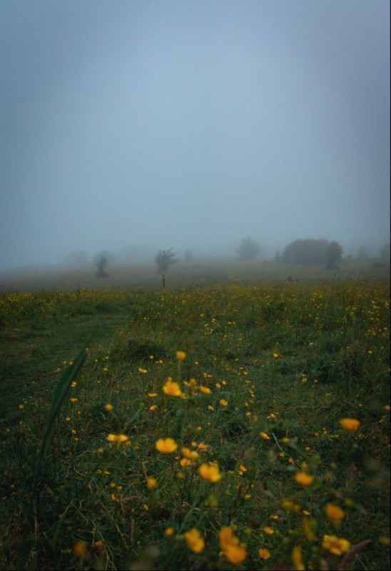 Create meme: landscape , landscape fog, nature sunrise