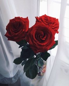 Create meme: a bouquet of roses on the window, roses on the window, flowers red roses