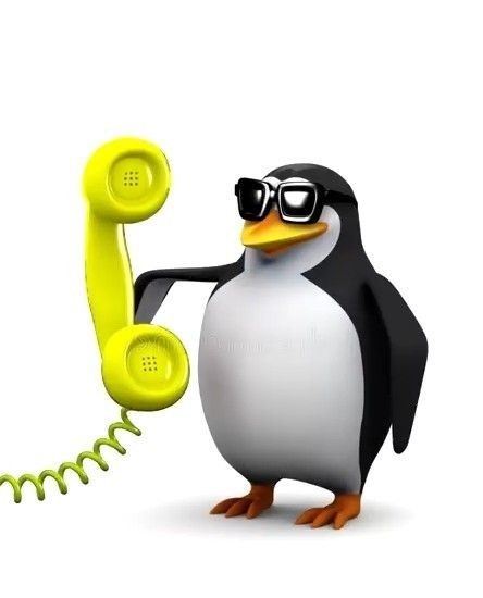 Create meme: penguin meme, meme penguin phone, the penguin with the phone