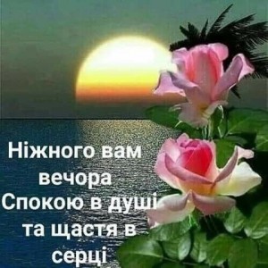 Create meme: good evening, a wonderful evening, flowers at sunset