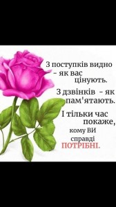 Create meme: roses, flowers