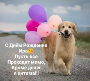 Create meme: happy birthday puppy, happy birthday, happy birthday animals