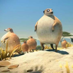 Create meme: rollin, fat animals, fat meerkat