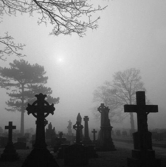 Create meme: cemetery , photos of the cemetery, the old cemetery in the fog