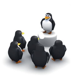 Create meme: penguin