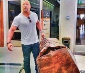Create meme: the rock with a bag, male, only the most necessary