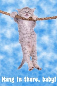 Create meme: cat hanging on a rope picture, poster cat hang on, kitty hang in there
