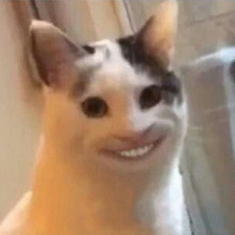 Create meme: a cat with a human smile, the cat with a smile, funny animals 