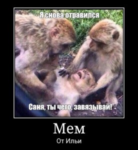 Create meme: meme monkey, memes, monkey animals