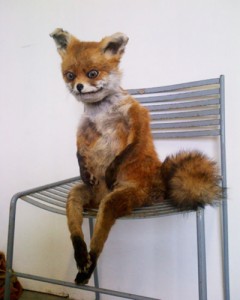 Create meme: Fox stuffed animal, sitting Fox, stuffed