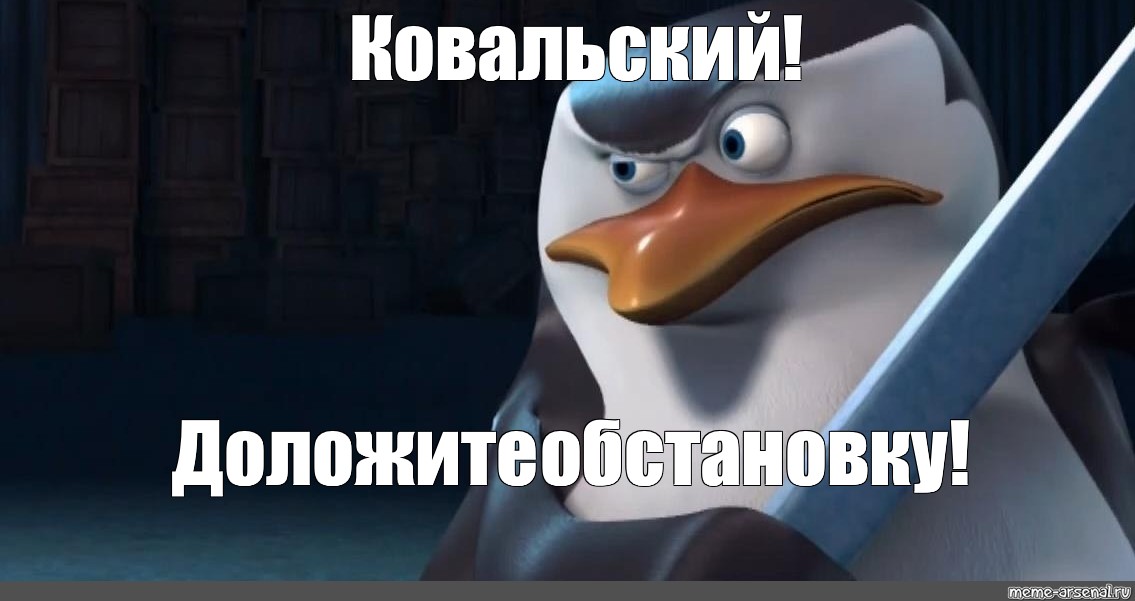 Песня ковальского. Ковальски. Ковальский мемы. Ковальски Пингвин. Ковальски Пингвин Мем.