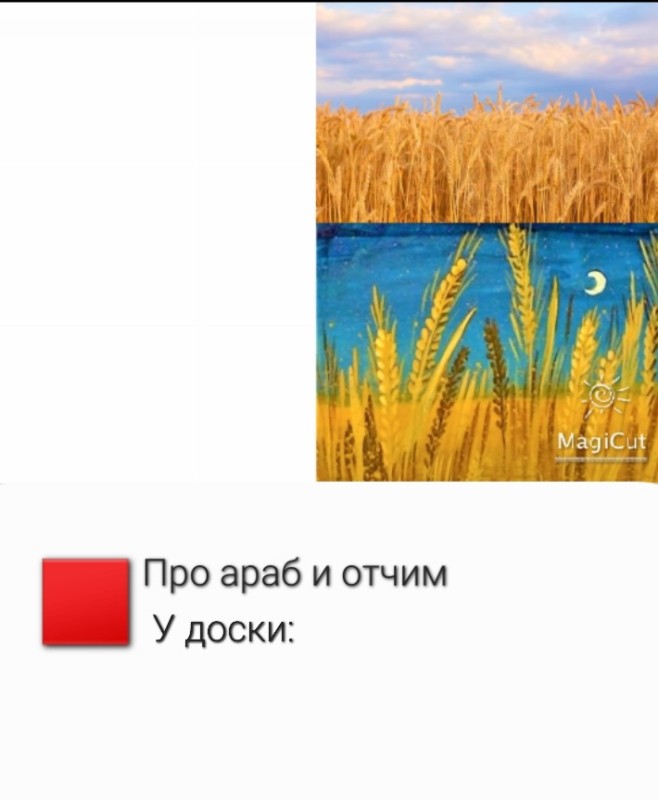 Create meme: wheat field, rye wheat, rye wheat oats