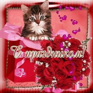 Create meme: postcard congratulations, postcard, twinkling birthday cards kittens