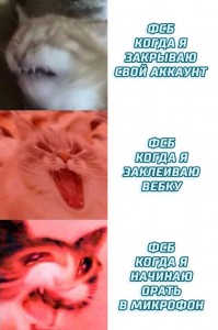Create meme: srty cat meme, cat