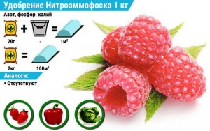 Create meme: raspberry 1 pieces, red raspberry, raspberry ripe