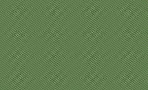 Создать мем: зеленая сетка текстура, зеленый лен текстура, текстура зеленый