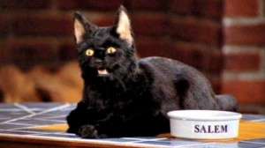 Создать мем: сабрина маленькая ведьма салем человек, кот салем из сабрины, зачарованные кот салем