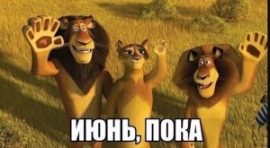 Create meme: Alex the lion Madagascar, Madagascar 2 lion, Madagascar