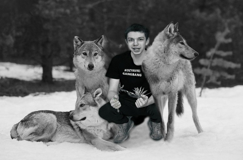 Создать мем: парень волк, волк волчонок, с волков