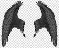 Create meme: angel wings, wings of the devil, the wings of a black angel