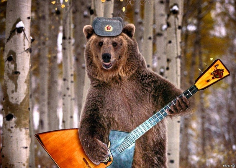 Create meme: bear with a balalaika, teddy bear vodka balalaika, balalaika day