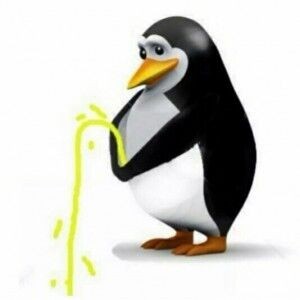 Create meme: penguin, penguin clipart