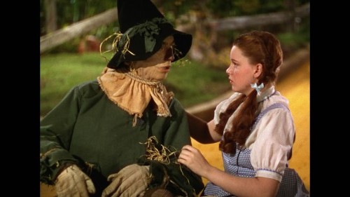 Create meme: The Wizard of oz 1939 film, the wizard of oz 1939, The Wizard of oz 1939 film dorothy