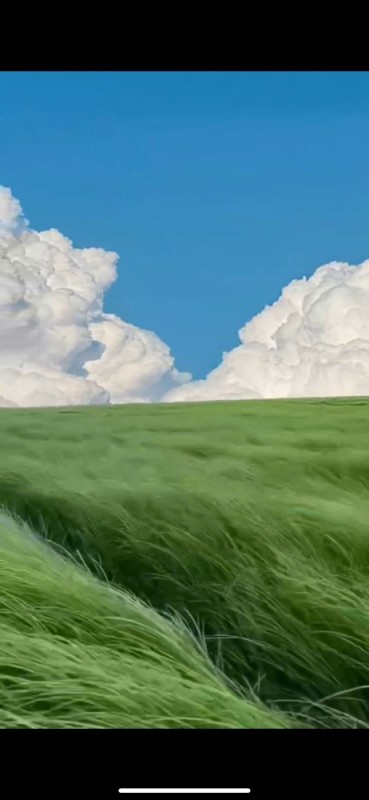 Создать мем: природа пейзаж, радуга голубое небо,облака, зелёная трава в одном, небо солнце облака