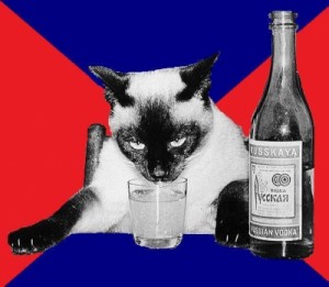 Create meme: cat, drink, vodka