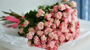Создать мем: розовые кустовые розы, цветы розы кустовые, розовые розы
