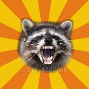 Create meme: Evil raccoon