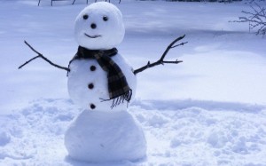 Создать мем: снеговик настоящий картинки, снеговик из снега, добрый снеговик