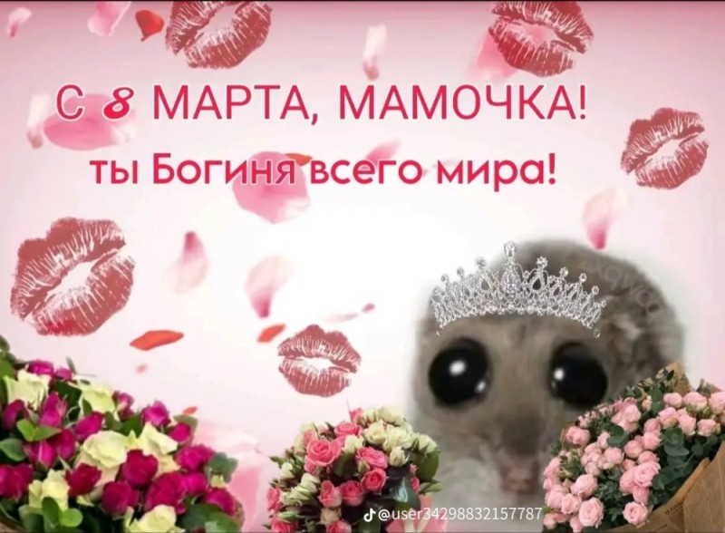 Create meme: from March 8, cute, congratulations on the 8th of March to my daughter, since March 8, basik