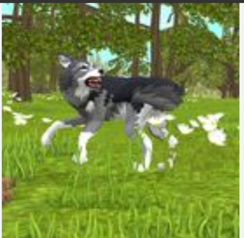 Create meme: wildcraft wolf simulator, wildcraft, Wilde Kraft