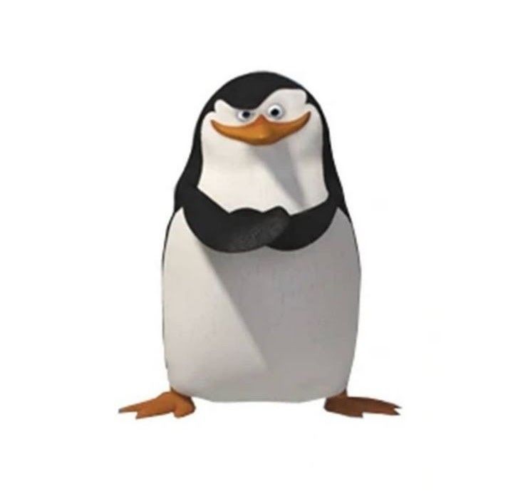 Создать мем: шкипер из мадагаскара, penguin, пингвин рико