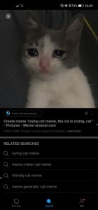 Создать мем: кошачьи мемы, cat meme, Кошка