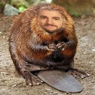 Create meme: cool beavers, beaver , babra