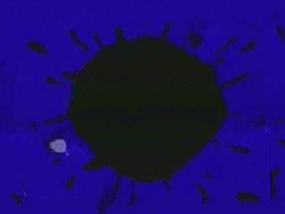 Создать мем: арт клякса, фиолетовая клякса, klasky csupo ink splat