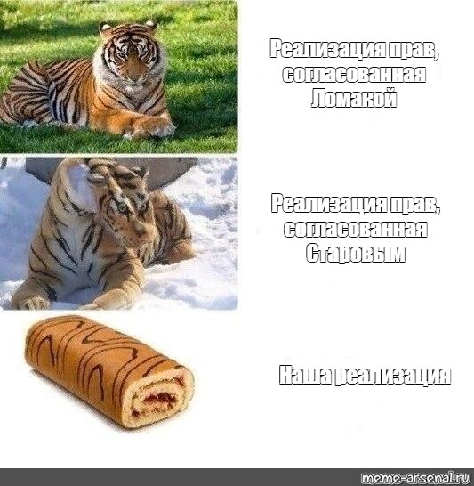 Рулет мем. Тигр Мем. Рулет тигр. Тигр рулетик Мем.