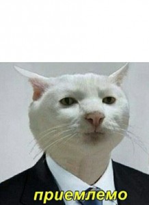 Create meme: cat, memes with captions, cats